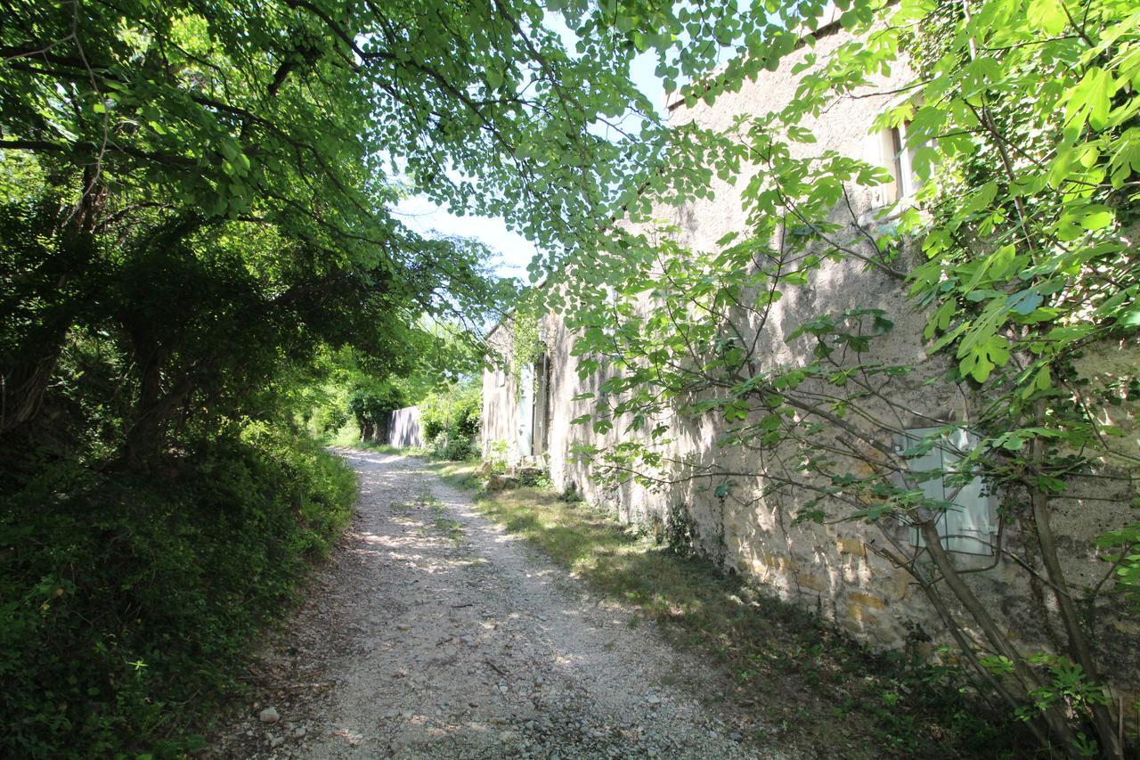 Chateau De Fontblachere Saint-Lager-Bressac Kültér fotó